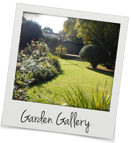 Gardens Gallery
